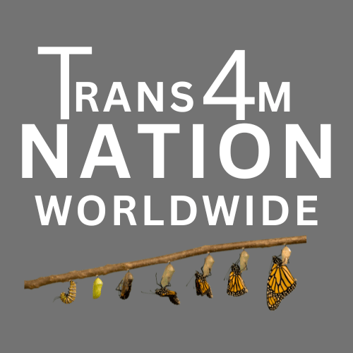 Trans4m Nation Worlwide logo